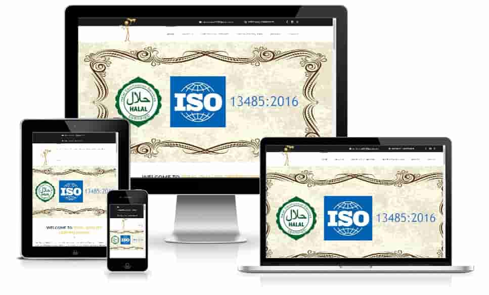 idealqualitycertifications.in